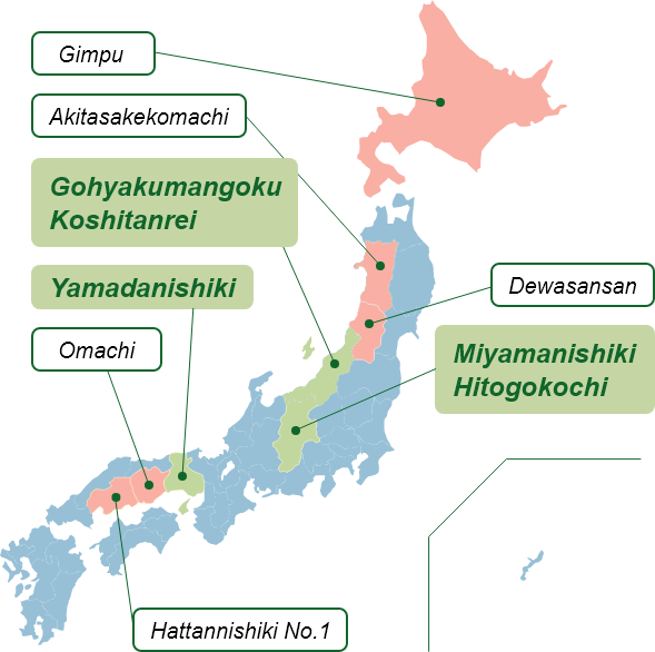 Distribution map of shuzo-kotekimai