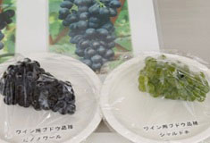黒ぶどうと白ぶどう