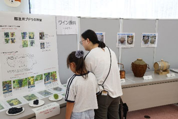 醸造用ブドウと生食用ブドウを比較する親子