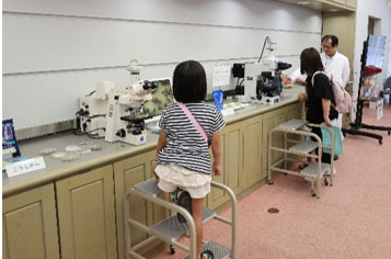 顕微鏡で麹菌や酵母を観察する参加者
